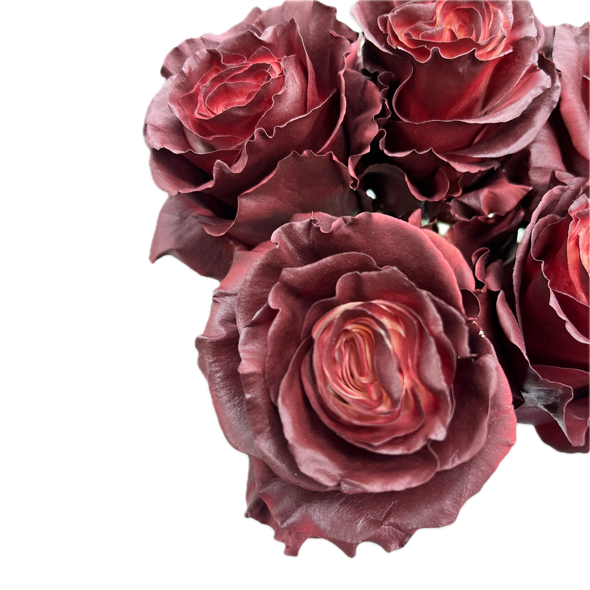 Fondo de red-wine-tinted-roses eliminado